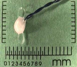 2.3mm Crystal w/ Suture Loops